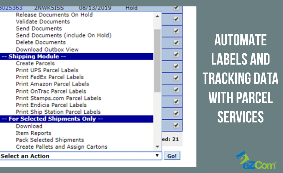 screenshot of eZCom EDI